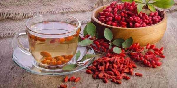 طرز تهیه دمنوش زرشک برای لاغری