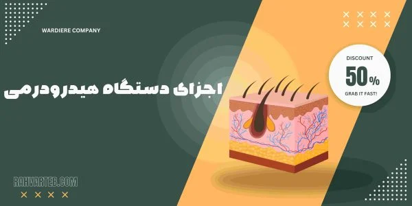 اجزای دستگاه هیدرودرمی