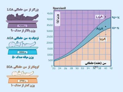 صدک رشد جنین در سونوگرافی | اندازه گیری معیارهای جنین در 20 هفته مهم بارداری