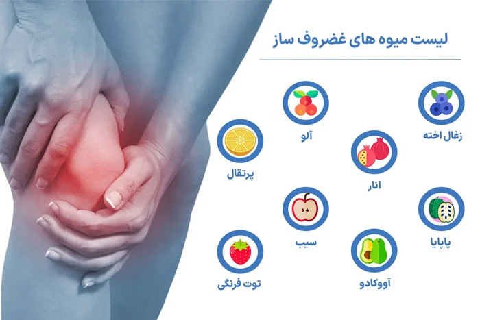 بهترین غضروف ساز طبیعی