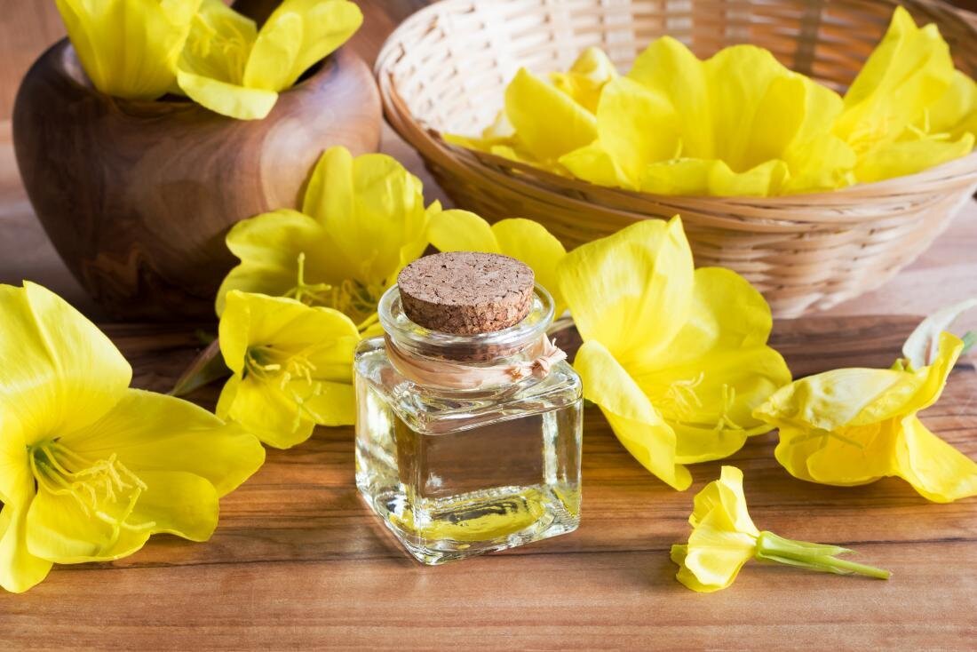 روغن روغن گل مغربی باعث درمان میگرن میشود یا تشدید آن؟